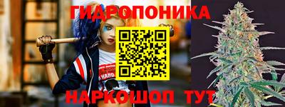 бошки Аша