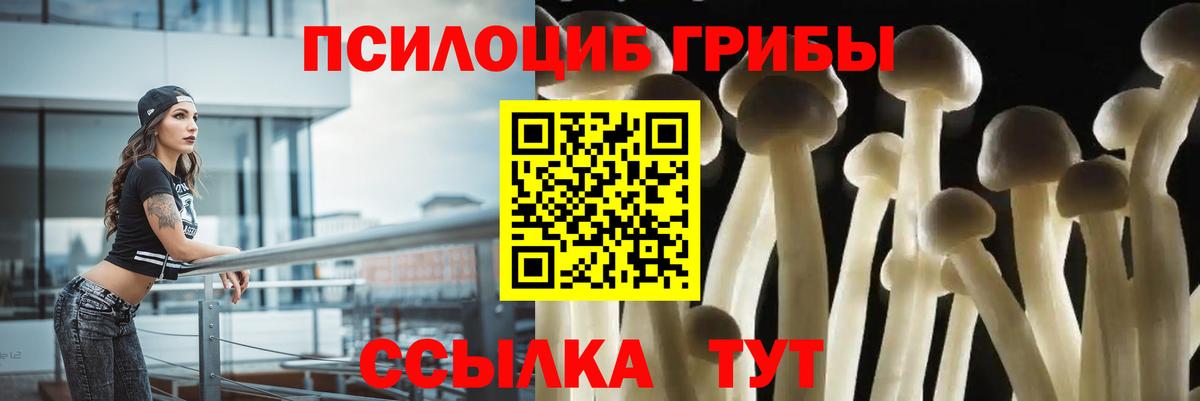Псилоцибиновые грибы ЛСД  продажа наркотиков  Кумертау  Вход с VPN 